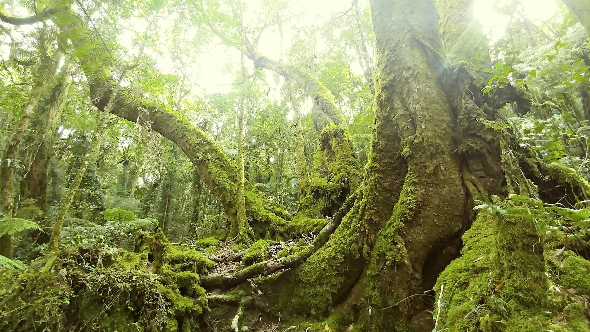 Discover SEQ's Hidden Gems